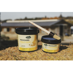 Pediguard Ravene, ungüento rubio