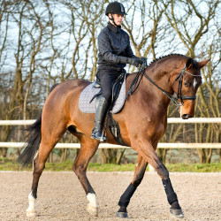 Protectores en neopreno Horze Supreme Negro