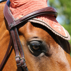 Brida Muserola Combinada Anatómica Dy'on New English Collection Castaño Marrón