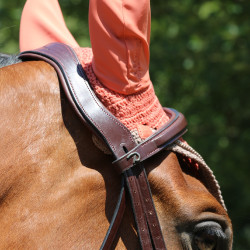 Brida Muserola Combinada Anatómica Dy'on New English Collection Castaño Marrón