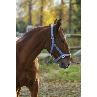 Cabezada de nailon Spring Equithème