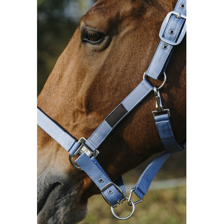 Cabezada de nailon Spring Equithème Cabezada de nailon Spring Equithème