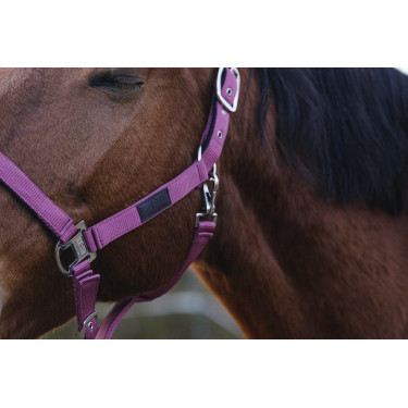 Cabezada de nailon Spring Equithème Cabezada de nailon Spring Equithème