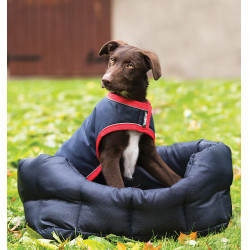 Capa impermeable para perro Rambo Horseware 100g