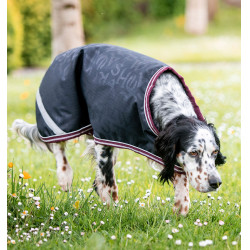 Capa para perro Amigo Ripstop Horseware