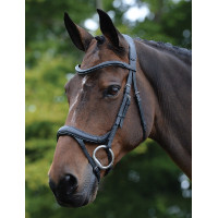 Briion anatomique Collegiate ComFiTec Vogue Negro