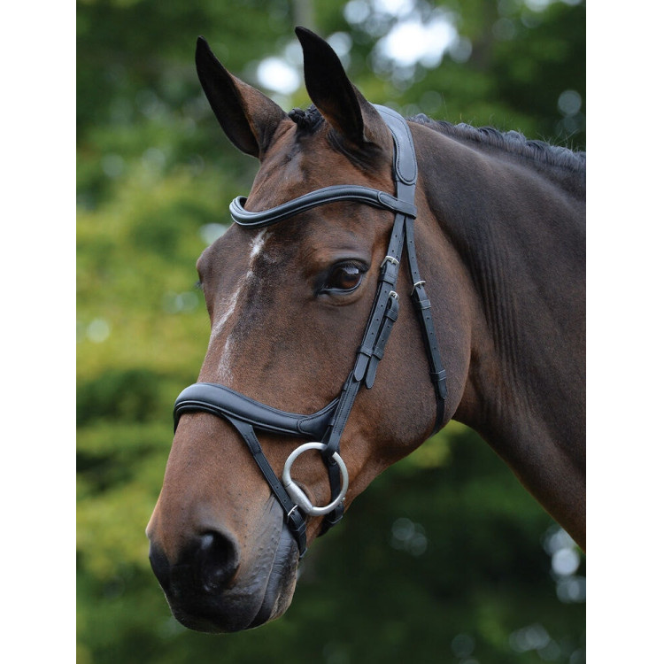 Briion anatomique Collegiate ComFiTec Vogue Briion anatomique Collegiate ComFiTec Vogue