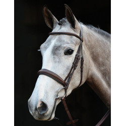 Brida Collegiate con muserola Mono Crown