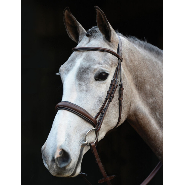 Brida Collegiate con muserola Mono Crown