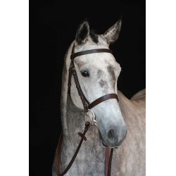 Cabezada de Trabajo Collegiate Cavesson IV Castaño Marrón