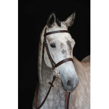 Cabezada de Trabajo Collegiate Cavesson IV Castaño Marrón