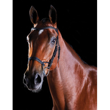 Brida Collegiate ComFiTec Brida Collegiate ComFiTec