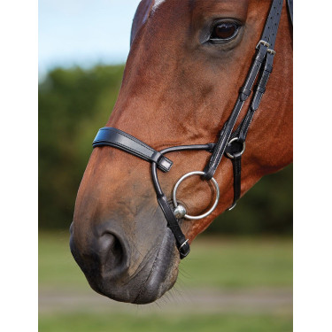 Brida Collegiate ComFiTec Brida Collegiate ComFiTec