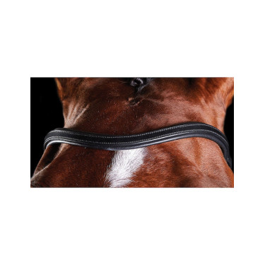 Brida Collegiate ComFiTec Brida Collegiate ComFiTec