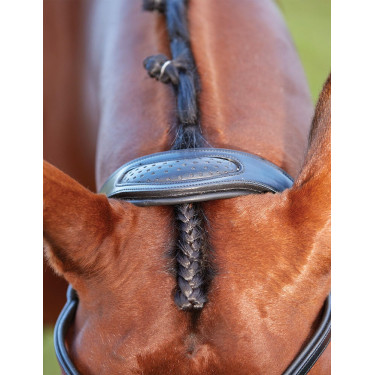 Brida Collegiate ComFiTec Brida Collegiate ComFiTec
