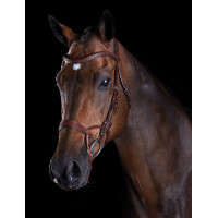 Brida Collegiate ComFiTec Castaño Marrón