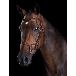 Brida Collegiate ComFiTec Castaño Marrón