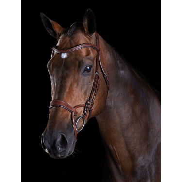 Brida Collegiate ComFiTec Castaño Marrón