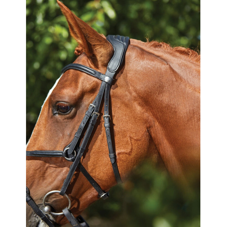 Brida Collegiate ComFiTec Grackle Brida Collegiate ComFiTec Grackle