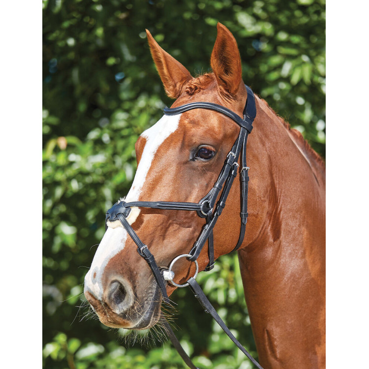 Brida Collegiate ComFiTec Grackle Brida Collegiate ComFiTec Grackle