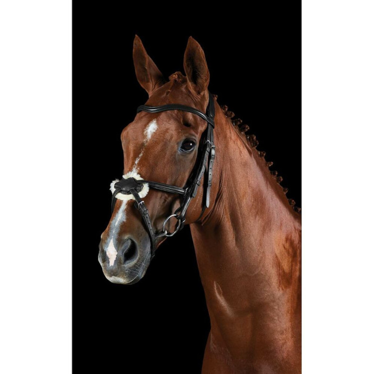 Brida Collegiate ComFiTec Grackle Brida Collegiate ComFiTec Grackle