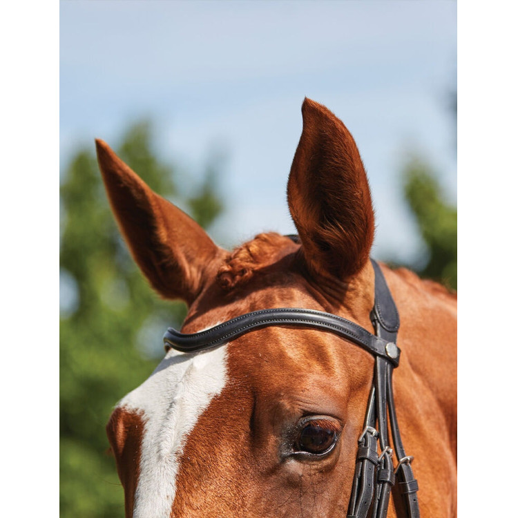 Brida Collegiate ComFiTec Grackle Brida Collegiate ComFiTec Grackle