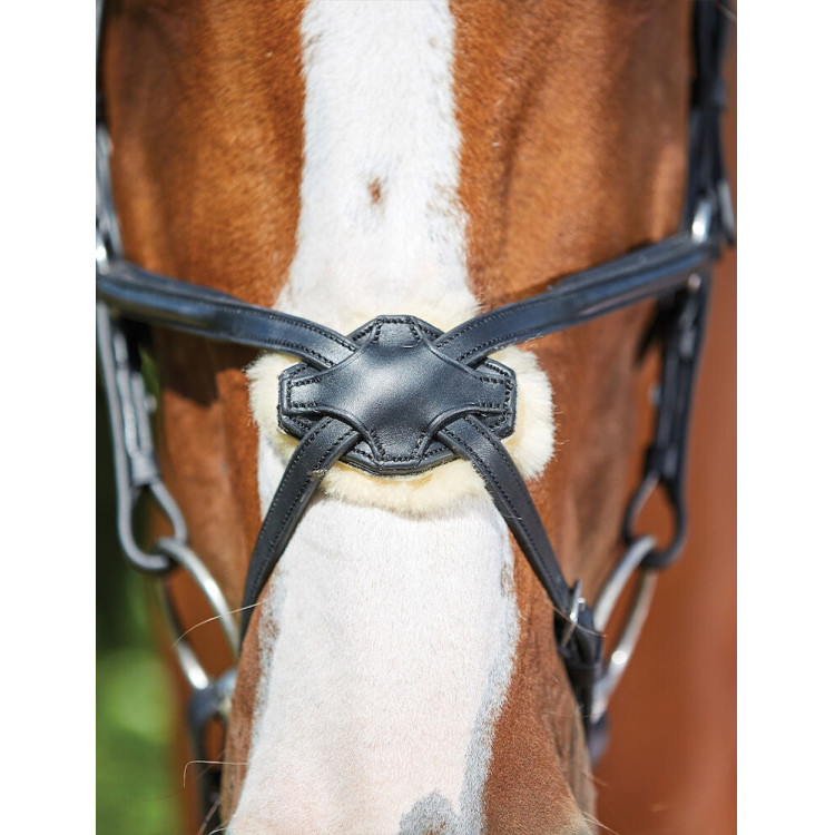 Brida Collegiate ComFiTec Grackle Brida Collegiate ComFiTec Grackle