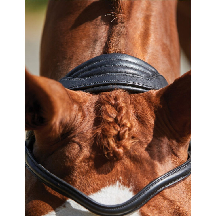 Brida Collegiate ComFiTec Grackle Brida Collegiate ComFiTec Grackle