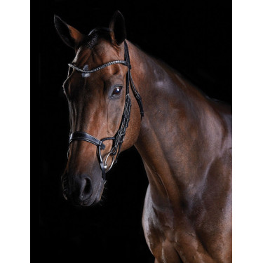 Brida crystal Collegiate ComFiTec Brida crystal Collegiate ComFiTec