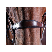 Brida crystal Collegiate ComFiTec Castaño Marr&amp;amp;amp;oacute;n