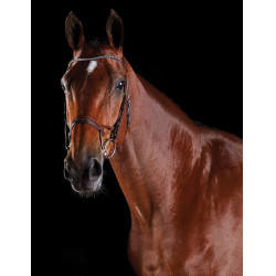 Brida crystal Collegiate ComFiTec Castaño Marr&amp;amp;amp;oacute;n