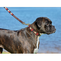 Collar para perro Weatherbeeta de cuero Polo Marrón cowdray / negro / rojo / blanco