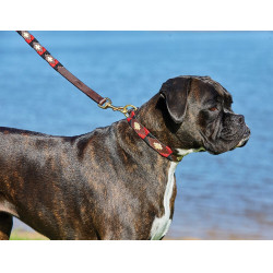 Collar para perro Weatherbeeta de cuero Polo Marrón cowdray / negro / rojo / blanco Multicolor Collar para perro Weatherbeeta de cuero Polo Marrón cowdray / negro / rojo / blanco Multicolor