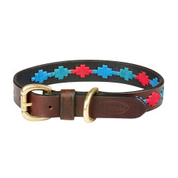 Collar para perro Weatherbeeta de cuero Polo