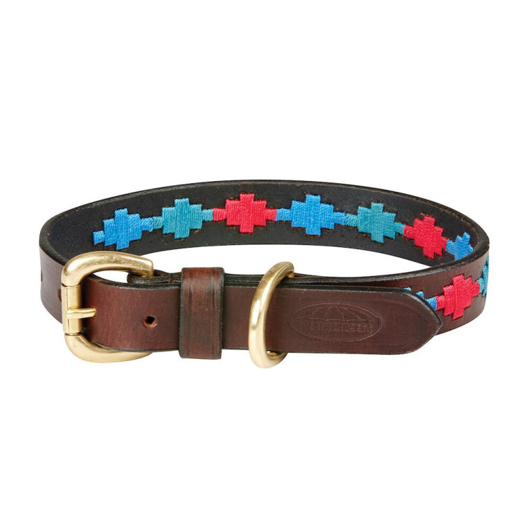 Collar para perro Weatherbeeta de cuero Polo