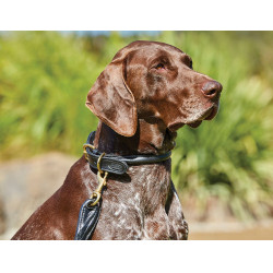 Collar para perro Weatherbeeta de cuero redondo