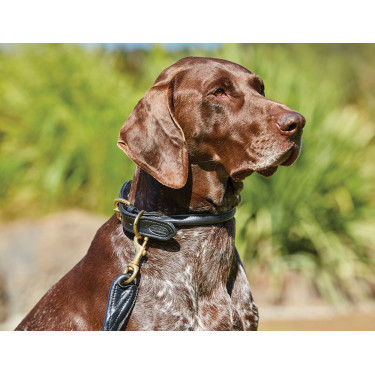 Collar para perro Weatherbeeta de cuero redondo