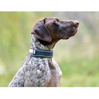 Collar para perro Weatherbeeta Explorer Marino Azul marino