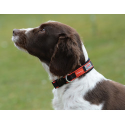 Collar para perro Weatherbeeta Therapy-Tec