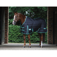 Manta de cuadra Green-Tec 150g Weatherbeeta Negro / verde botella