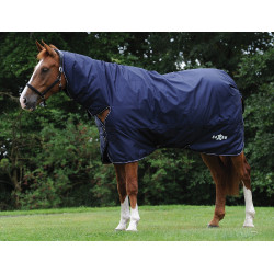 new Azúl marino / blanco