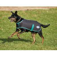 Manta para perro 220g Weatherbeeta Green-Tec 900D Negro / verde botella