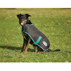 Manta para perro 220g Weatherbeeta Green-Tec 900D Negro / verde botella Manta para perro 220g Weatherbeeta Green-Tec 900D Negro / verde botella
