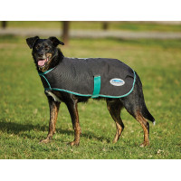 Manta para perro 220g Weatherbeeta Green-Tec 900D Negro / verde botella Manta para perro 220g Weatherbeeta Green-Tec 900D Negro / verde botella