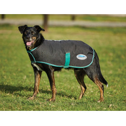Manta para perro 220g Weatherbeeta Green-Tec 900D Negro / verde botella Manta para perro 220g Weatherbeeta Green-Tec 900D Negro / verde botella