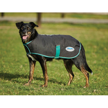 Manta para perro 220g Weatherbeeta Green-Tec 900D Manta para perro 220g Weatherbeeta Green-Tec 900D