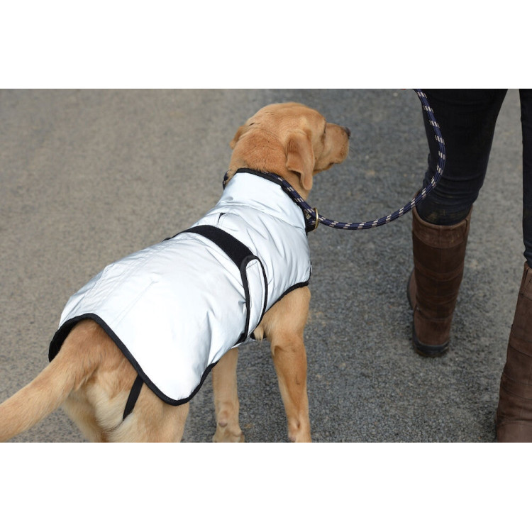 Cobertura para perro 220g Weatherbeeta reflectante Cobertura para perro 220g Weatherbeeta reflectante