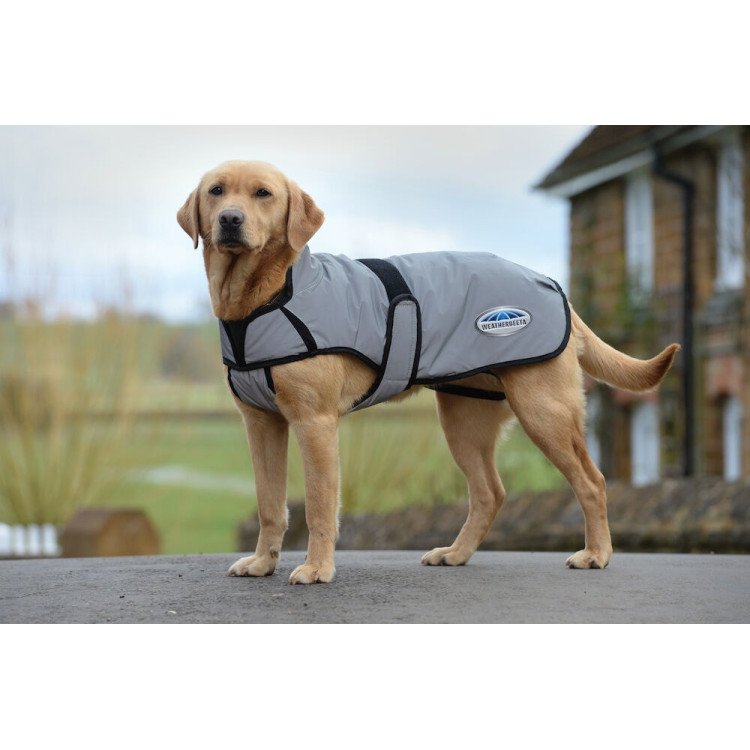 Cobertura para perro 220g Weatherbeeta reflectante Cobertura para perro 220g Weatherbeeta reflectante