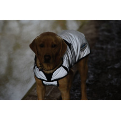 Cobertura para perro 220g Weatherbeeta reflectante Cobertura para perro 220g Weatherbeeta reflectante