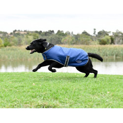 new Azul oscuro / gris / blanco